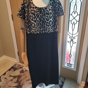 Tahari Back Zip Black Leopard Dress  NWT
